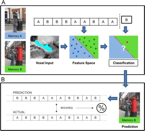 mvpa examples.
